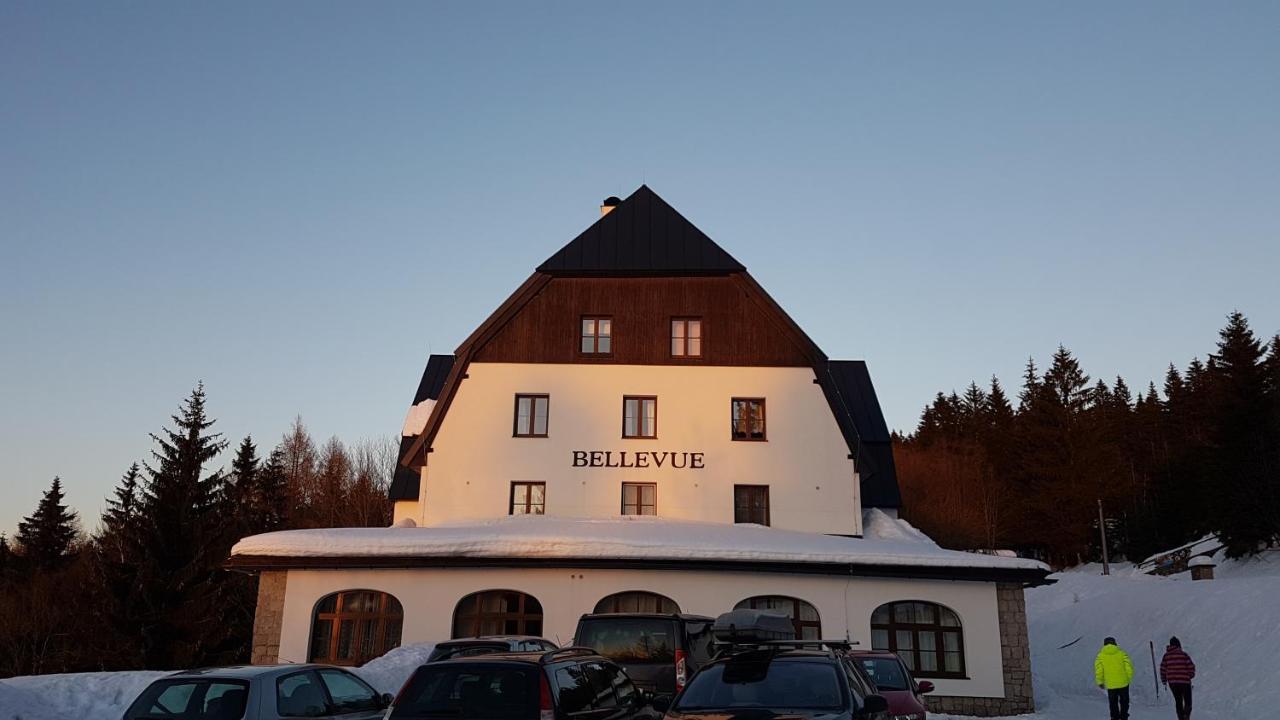 Luxusni Mezonetovy Apartman Bellevue - Novy Benecko Exterior foto